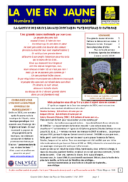 La vie en Jaune (gazette des GJ du pays des Vans)